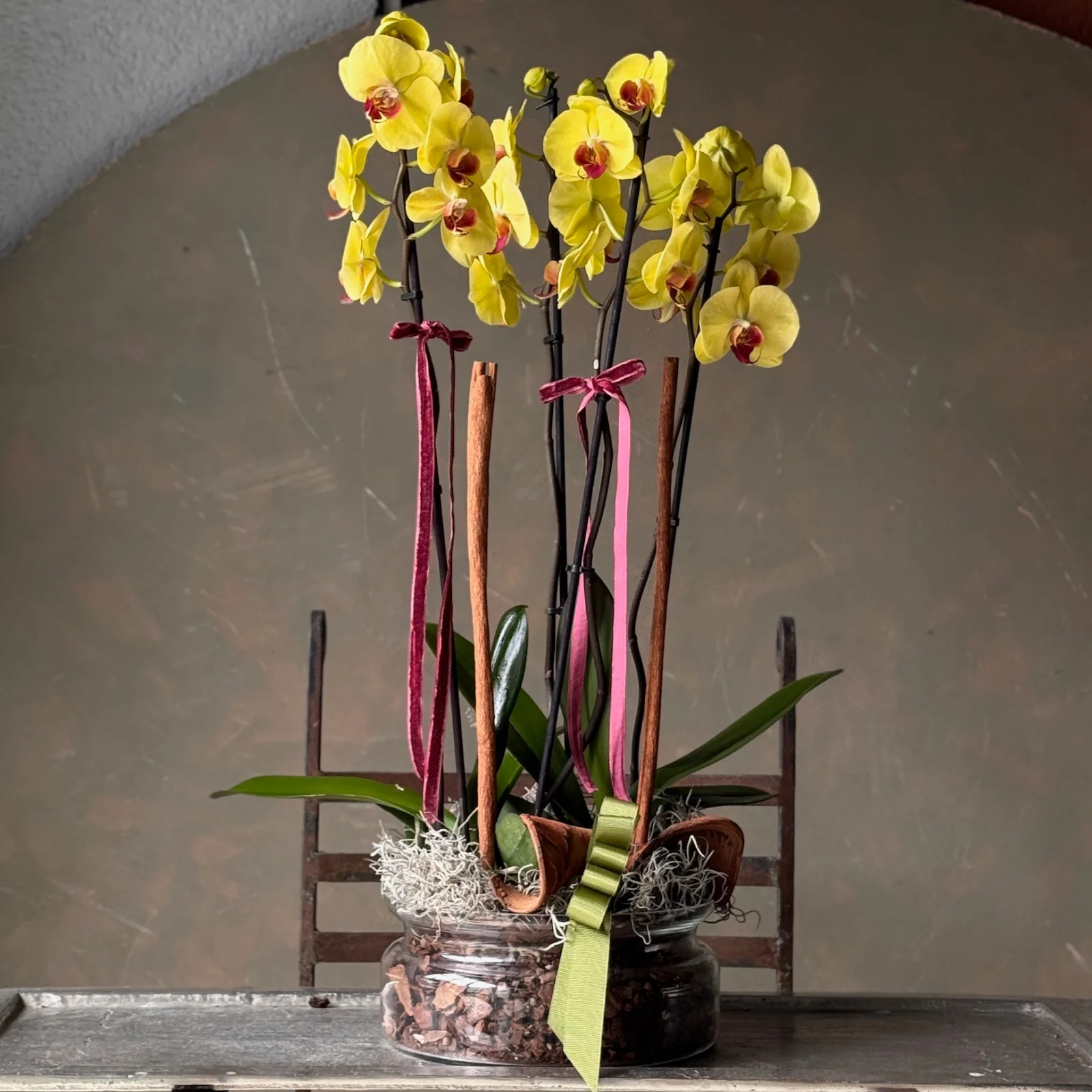 No.4 | 4 Dallı Sarı Phalaenopsis Orkide — ORKİDE & BİTKİ koleksiyonu No.9 — Lisan-ı Ezhar