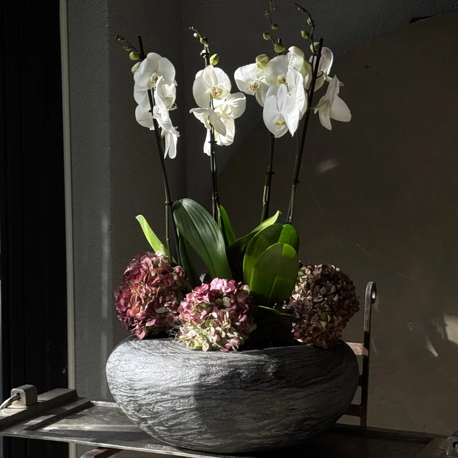 No.4 | 4 Dallı Beyaz Phalaenopsis Orkide – Geniş Form — Beyaz Orkide koleksiyonu No.2 — Lisan-ı Ezhar