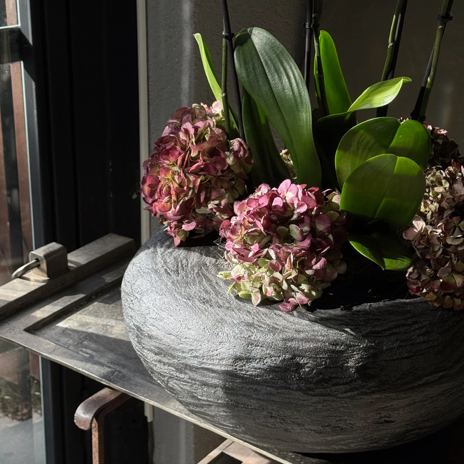 No.4 | 4 Dallı Beyaz Phalaenopsis Orkide – Geniş Form - görsel 2