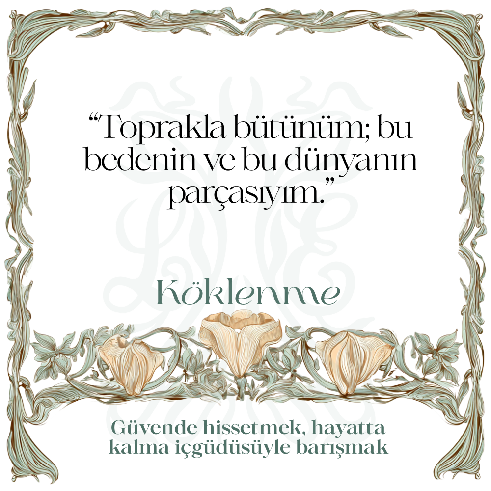 Köklenme — RITUALS koleksiyonu No.7 — Lisan-ı Ezhar