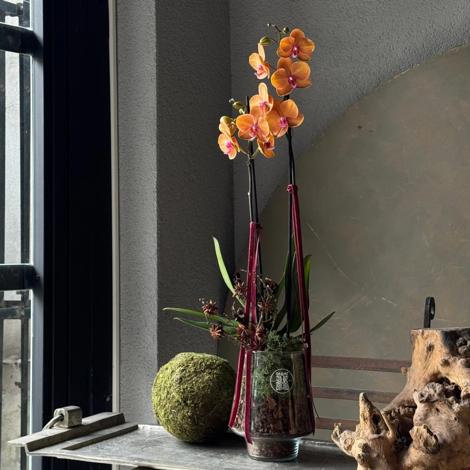 No.1 | 2 Dallı Sunset Phalaenopsis Orkide — the Seasonal Edit | Bu Mevsimin Hikayesi koleksiyonu No.11 — Lisan-ı Ezhar