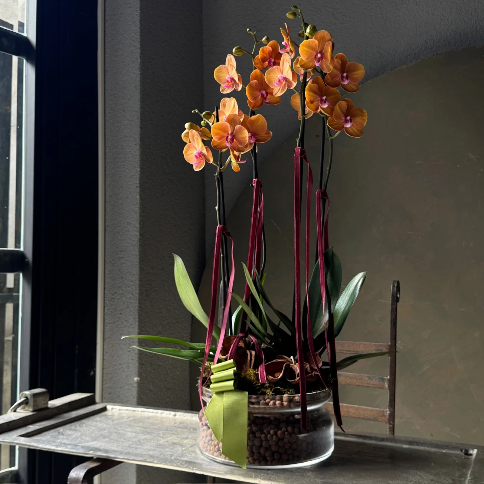 No.5 | 4 Dallı Turuncu Phalaenopsis Orkide — the Seasonal Edit | Bu Mevsimin Hikayesi koleksiyonu No.18 — Lisan-ı Ezhar