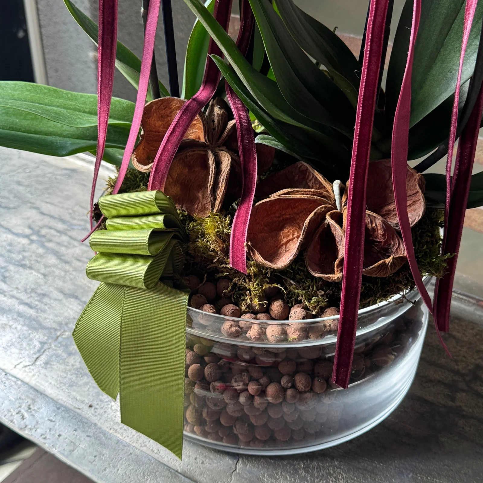 No.5 | 4 Dallı Turuncu Phalaenopsis Orkide - görsel 3