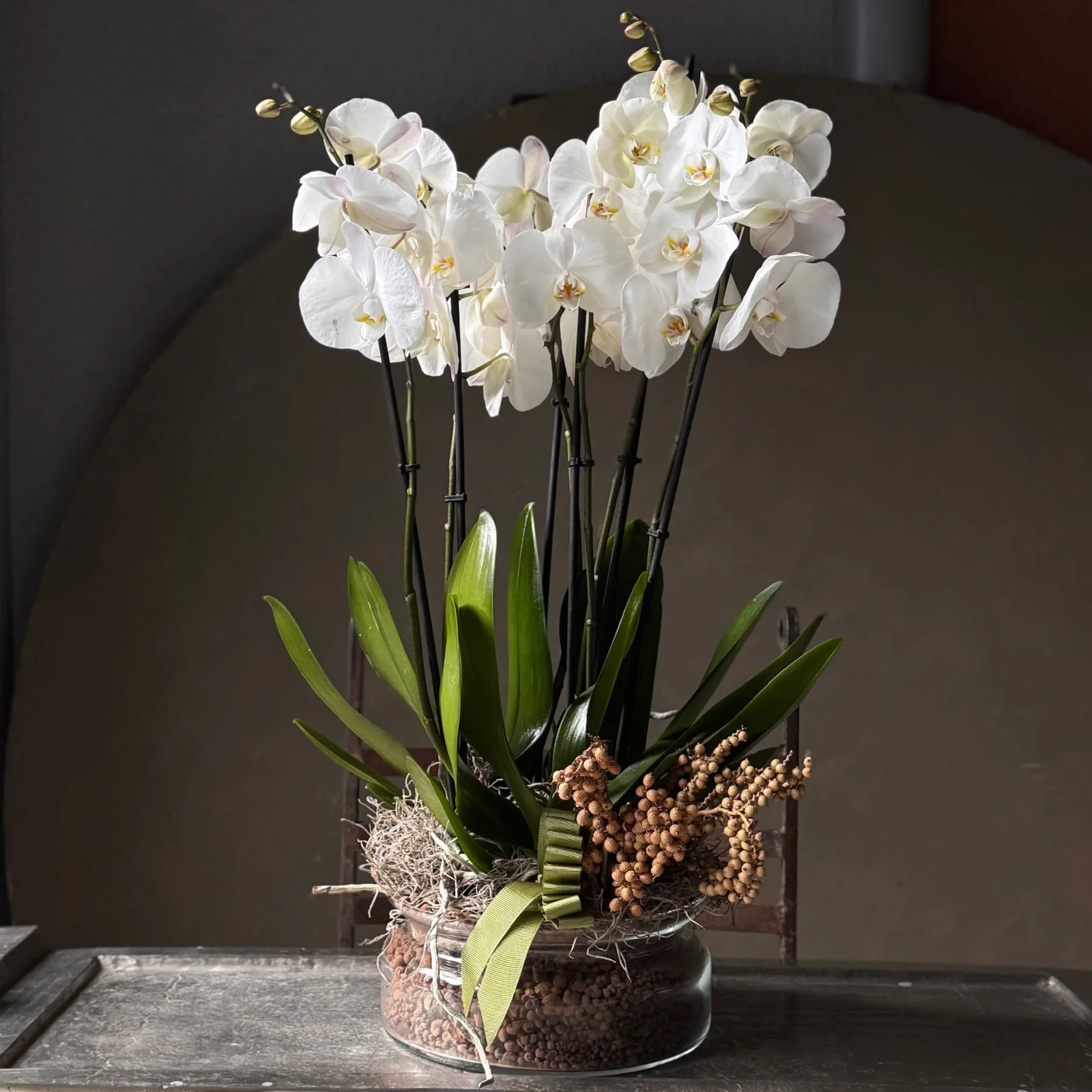 No.7 | 6 Dallı Beyaz Phalaenopsis Orkide — Beyaz Orkide koleksiyonu No.3 — Lisan-ı Ezhar