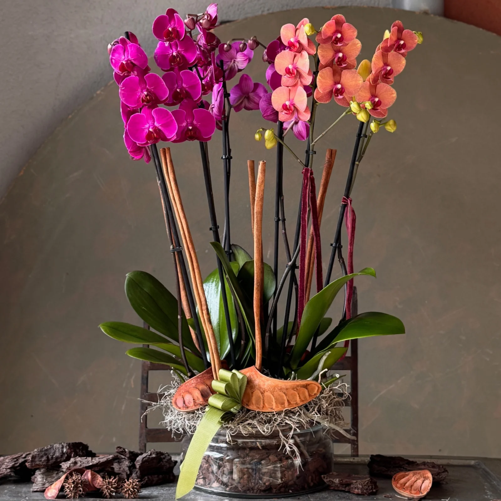 No.6 | 6 Dallı Sunset Phalaenopsis Orkide — ORKİDE & BİTKİ koleksiyonu No.10 — Lisan-ı Ezhar