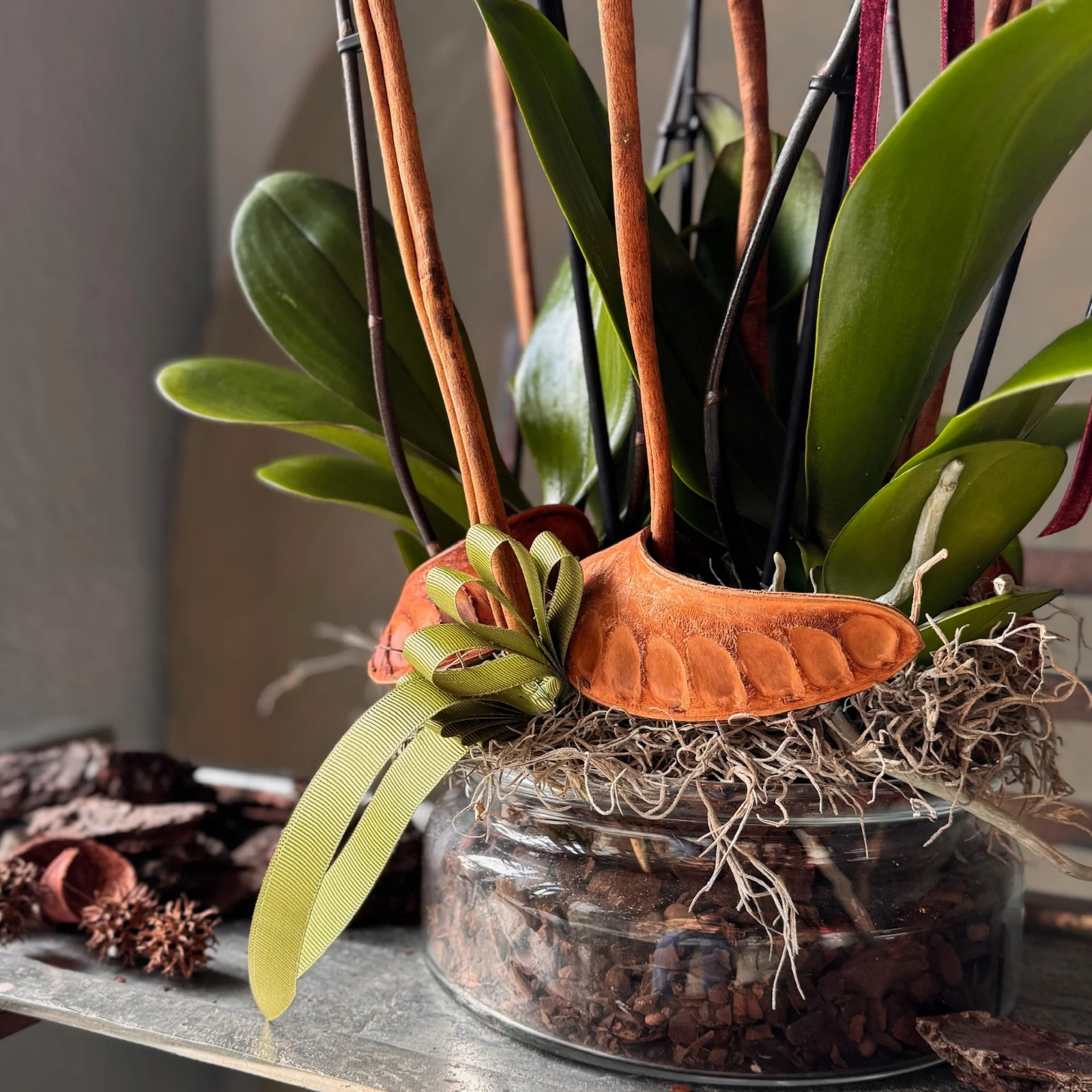 No.6 | 6 Dallı Sunset Phalaenopsis Orkide - görsel 3